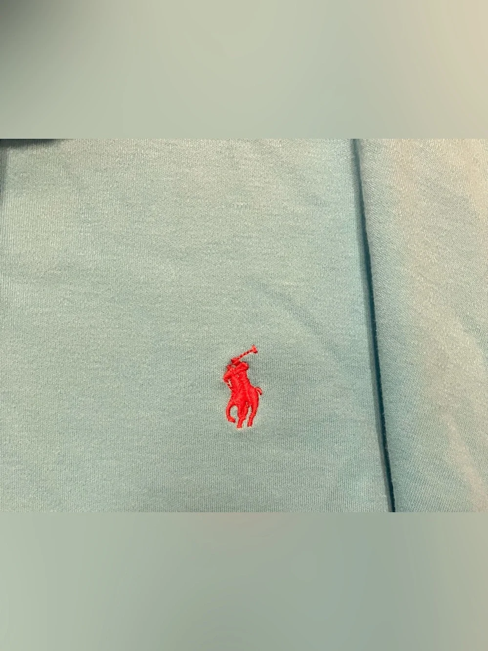 Ralph Lauren Men’s XXL Aqua Polo with Red Pony Embroidery